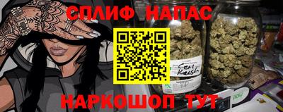 ешки Будённовск