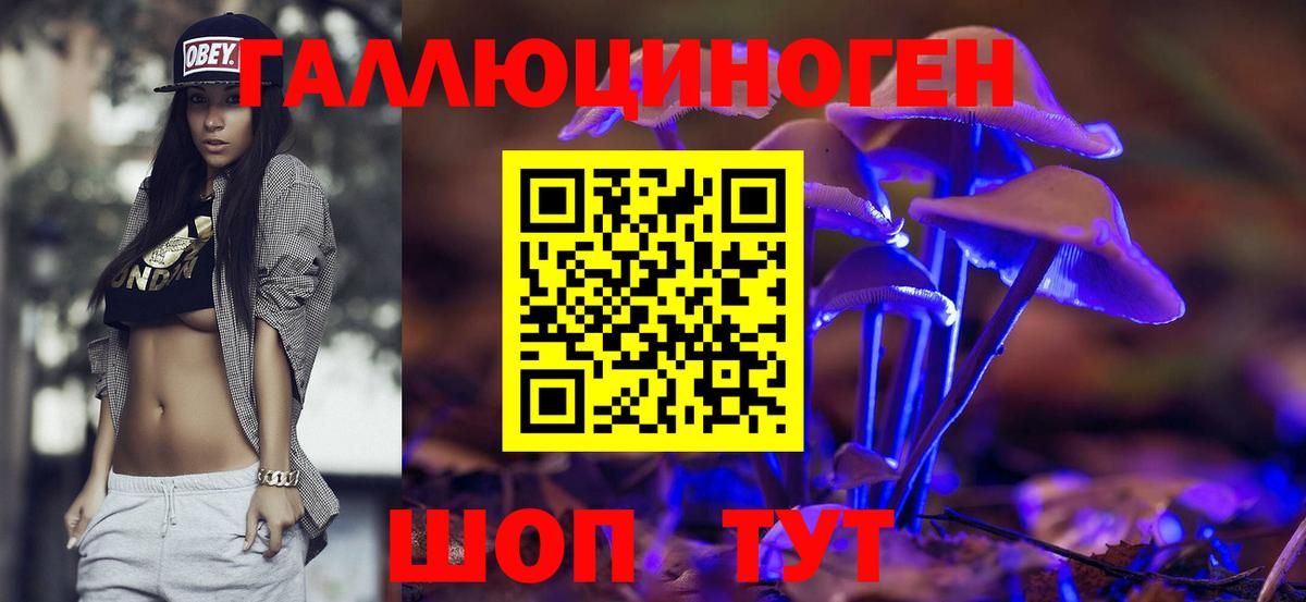 Псилоцибиновые грибы MAGIC MUSHROOMS  сколько стоит  Щёкино  Вход с VPN 